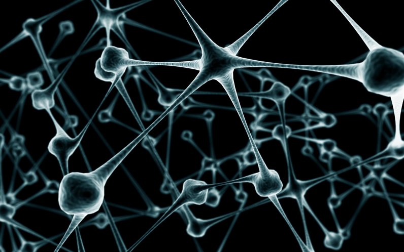 Восстановление нейронов головного мозга - несколько теорий